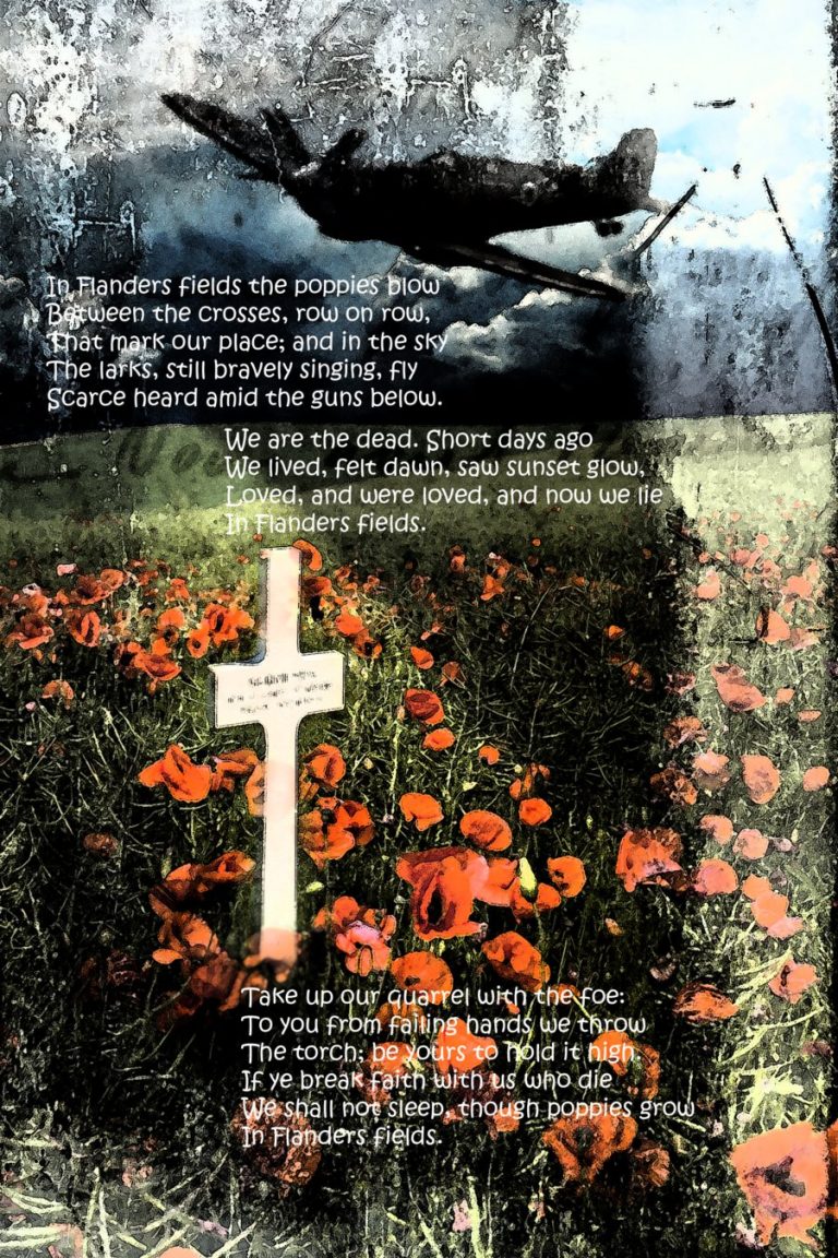 in_flanders_fields_by_yetalia