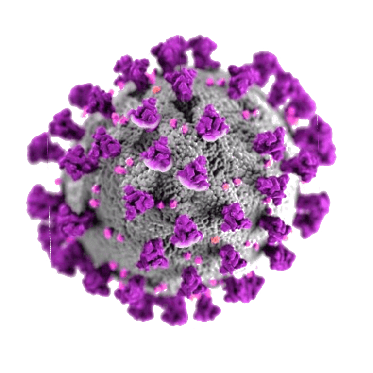 Corona2 Mutated Purple