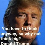 Trump Quotes
